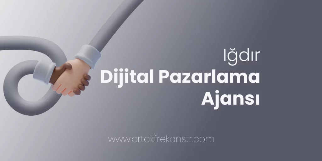 igdir-dijital-pazarlama-ajansi