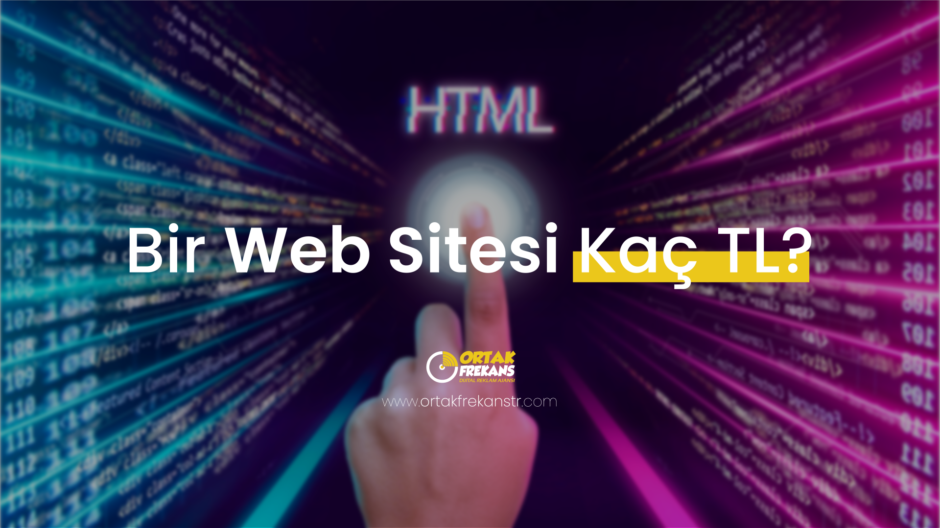 bir-web-sitesi-kac-tl