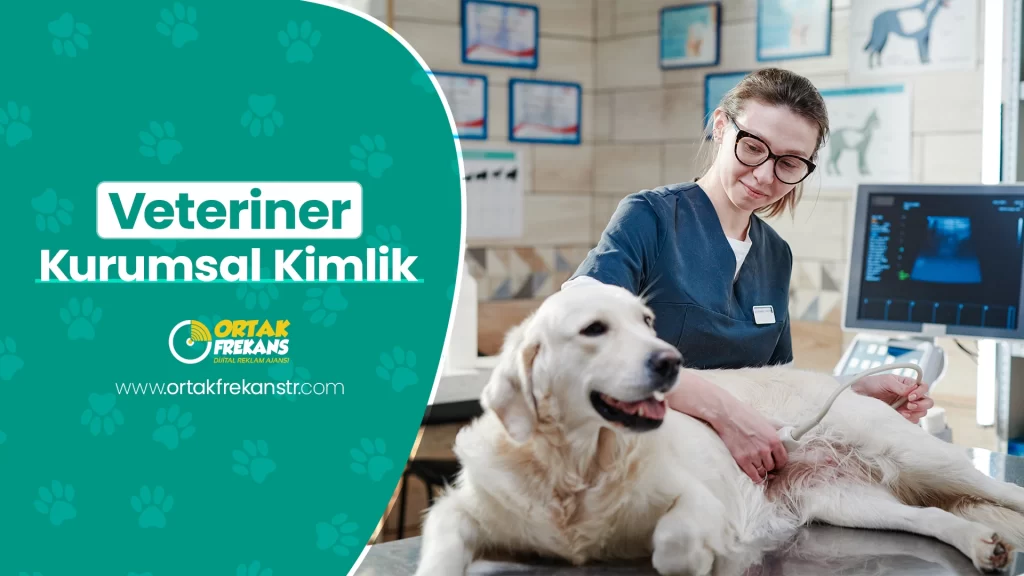 veteriner-kurumsal-kimlik